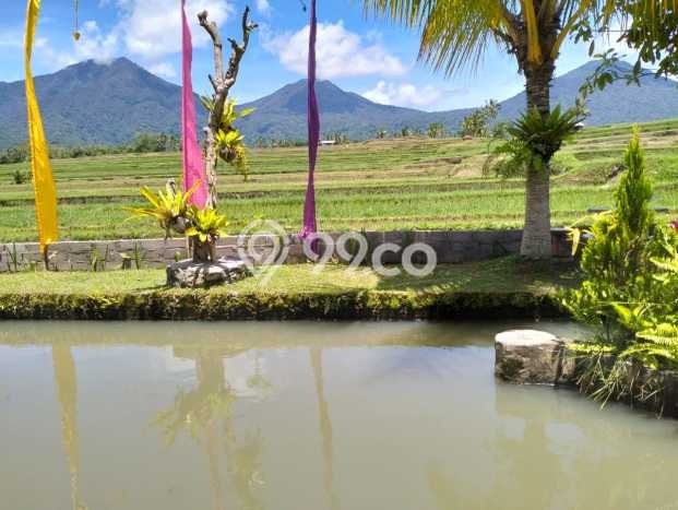 Lahan Kosong Dijual di Gianyar dengan Area 5000m2 Lahan Kosong Dijual di Gianyar dengan Area 5000m2