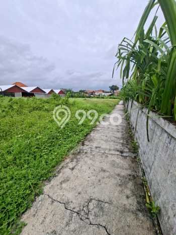 Disewakan Tanah Seluas 2400m2 di Denpasar Utara, Denpasar Disewakan Tanah Seluas 2400m2 di Denpasar Utara, Denpasar