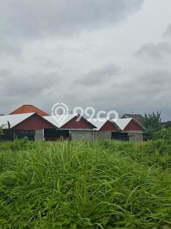 Disewakan Tanah Seluas 2400m2 di Denpasar Utara, Denpasar Disewakan Tanah Seluas 2400m2 di Denpasar Utara, Denpasar