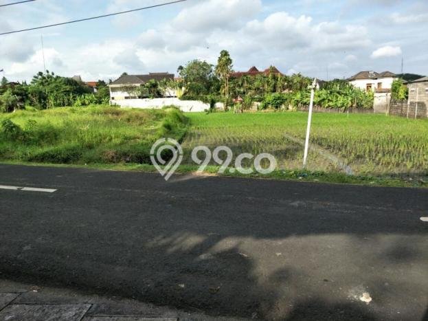 Rumah Minimalis area Umalas, Badung, Luas 1720m² Bangunan 650m² Rumah Minimalis area Umalas, Badung, Luas 1720m² Bangunan 650m²