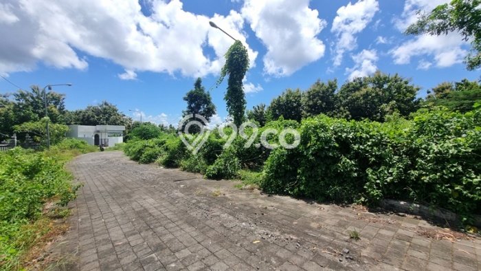 Tanah Siap Bangun Dijual di Badung Punya Luas 4200m2 Tanah Siap Bangun Dijual di Badung Punya Luas 4200m2