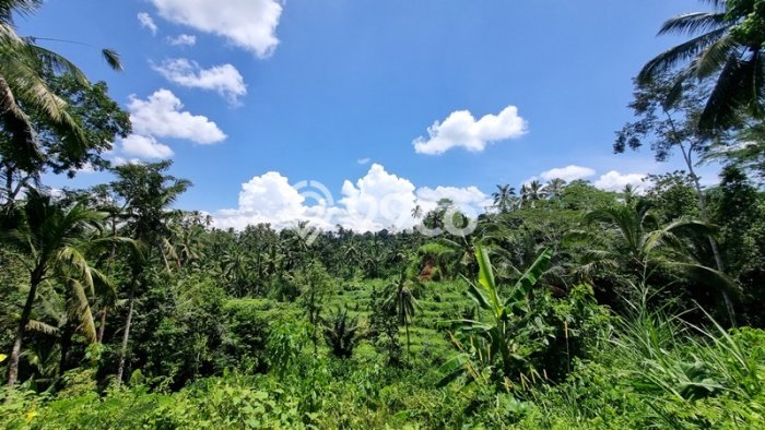 Tanah Dijual Lokasi Tegallalang, Gianyar Luas 1038m2 Legalitas Aman Tanah Dijual Lokasi Tegallalang, Gianyar Luas 1038m2 Legalitas Aman