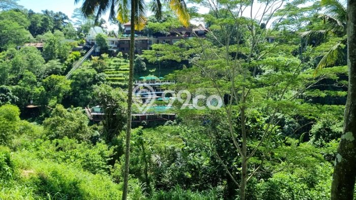 Dijual Tanah di Tegallalang Gianyar Luas 2936m2 SHM Dijual Tanah di Tegallalang Gianyar Luas 2936m2 SHM