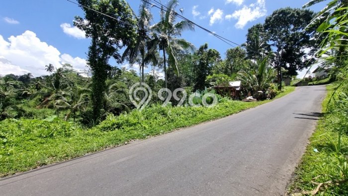 Tanah Dijual Lokasi Tegallalang, Gianyar Luas 1038m2 Legalitas Aman Tanah Dijual Lokasi Tegallalang, Gianyar Luas 1038m2 Legalitas Aman