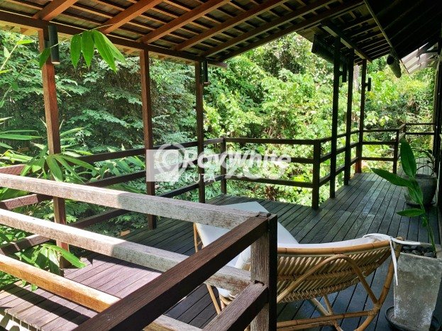 Rumah Terawat di Canggu, Badung, Luas Tanah 723m², Luas Bangunan 509m² Rumah Terawat di Canggu, Badung, Luas Tanah 723m², Luas Bangunan 509m²
