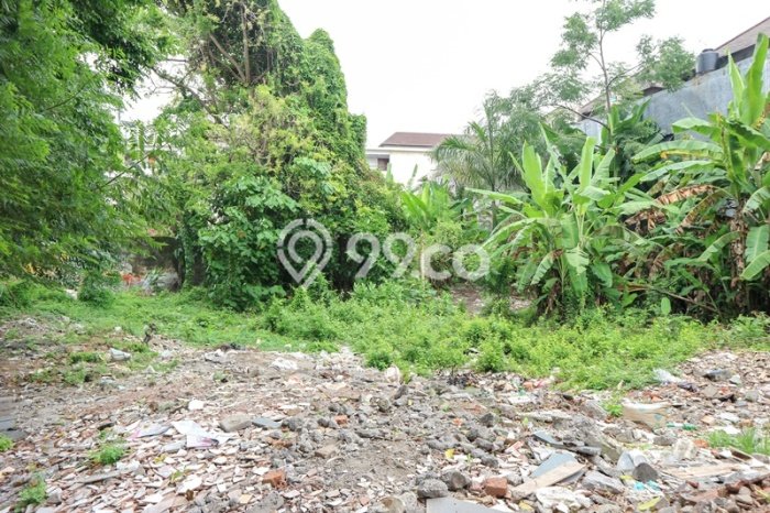 Siap Disewakan Tanah di Kuta Luas 1025m2 Area Potensial Siap Disewakan Tanah di Kuta Luas 1025m2 Area Potensial