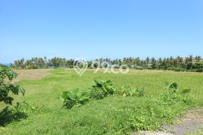 Tanah Dijual di Badung Seluas 10000m2 Strategis Tanah Dijual di Badung Seluas 10000m2 Strategis