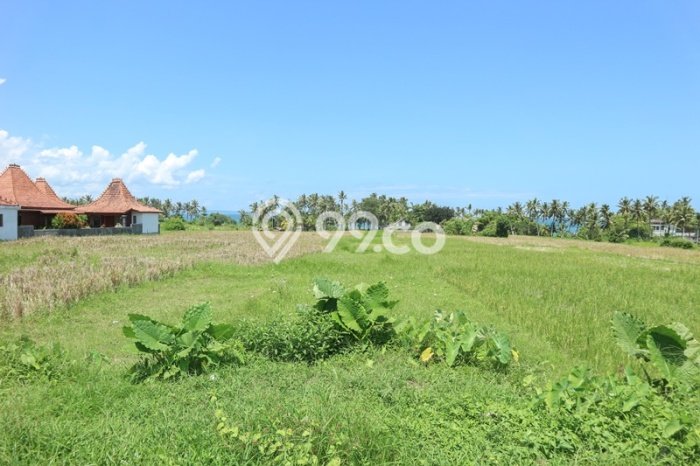 Tanah Dijual di Badung Seluas 10000m2 Strategis Tanah Dijual di Badung Seluas 10000m2 Strategis