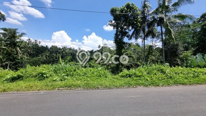 Tanah Dijual Lokasi Tegallalang, Gianyar Luas 1038m2 Legalitas Aman Tanah Dijual Lokasi Tegallalang, Gianyar Luas 1038m2 Legalitas Aman