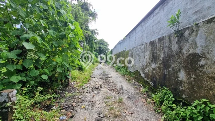 Tanah Kavling Dijual di Petitenget, Badung dengan Luas Tanah 270m2 Tanah Kavling Dijual di Petitenget, Badung dengan Luas Tanah 270m2