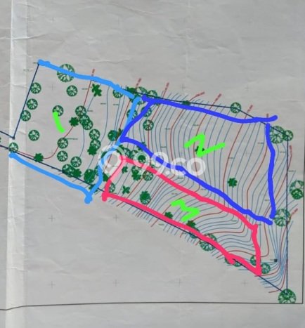 Dijual Tanah di Tegallalang Gianyar Luas 2936m2 SHM Dijual Tanah di Tegallalang Gianyar Luas 2936m2 SHM