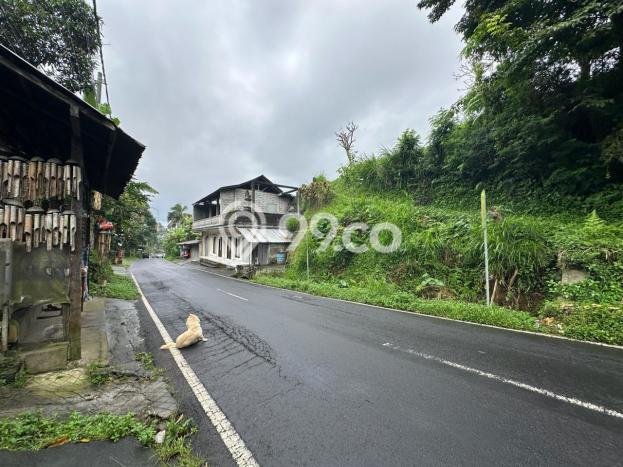 Tanah Dijual Lokasi Tegallalang, Gianyar dengan Luas Tanah 1000m2 dan Status - Tanah Dijual Lokasi Tegallalang, Gianyar dengan Luas Tanah 1000m2 dan Status -