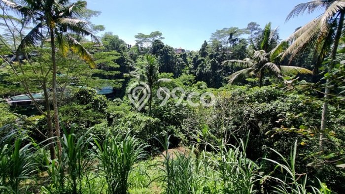 Dijual Tanah di Tegallalang Gianyar Luas 2936m2 SHM Dijual Tanah di Tegallalang Gianyar Luas 2936m2 SHM