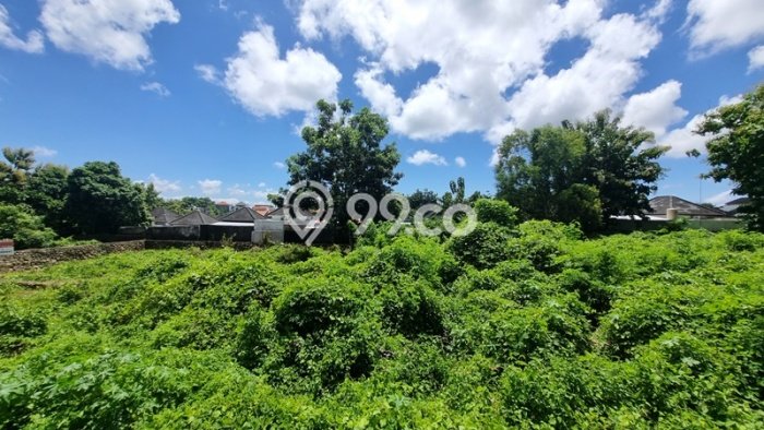 Tanah Siap Bangun Dijual di Badung Punya Luas 4200m2 Tanah Siap Bangun Dijual di Badung Punya Luas 4200m2