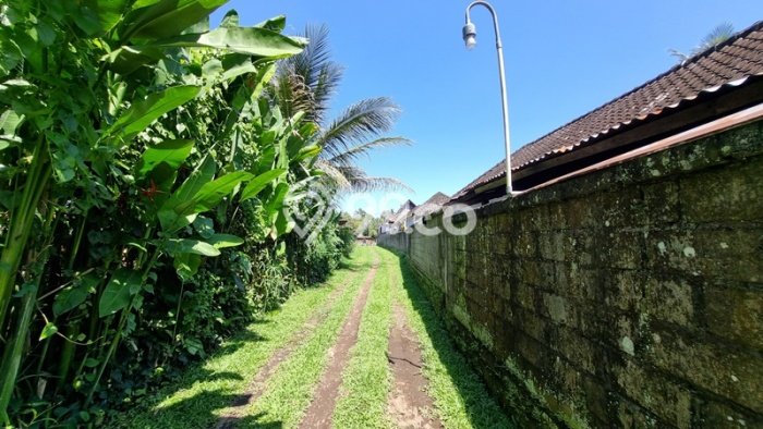 Dijual Tanah di Tegallalang Gianyar Luas 2936m2 SHM Dijual Tanah di Tegallalang Gianyar Luas 2936m2 SHM