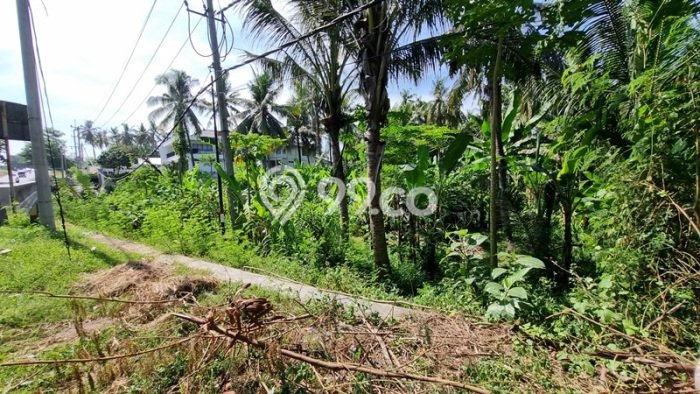 Dijual Tanah Lokasi Strategis Kawasan , Luas 4500m2m², Dekat Fasilitas Umum Dijual Tanah Lokasi Strategis Kawasan , Luas 4500m2m², Dekat Fasilitas Umum
