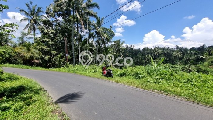 Tanah Dijual Lokasi Tegallalang, Gianyar Luas 1038m2 Legalitas Aman Tanah Dijual Lokasi Tegallalang, Gianyar Luas 1038m2 Legalitas Aman