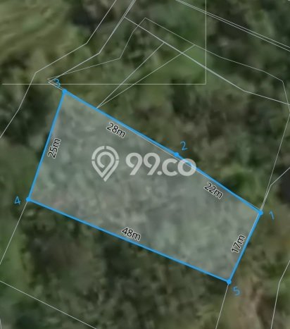 Tanah Dijual Lokasi Tegallalang, Gianyar Luas 1038m2 Legalitas Aman Tanah Dijual Lokasi Tegallalang, Gianyar Luas 1038m2 Legalitas Aman