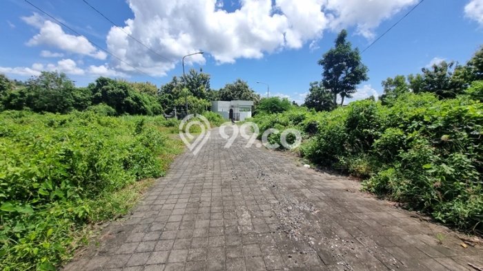 Tanah Siap Bangun Dijual di Badung Punya Luas 4200m2 Tanah Siap Bangun Dijual di Badung Punya Luas 4200m2