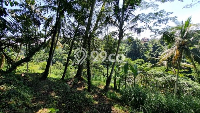 Dijual Tanah di Tegallalang Gianyar Luas 2936m2 SHM Dijual Tanah di Tegallalang Gianyar Luas 2936m2 SHM