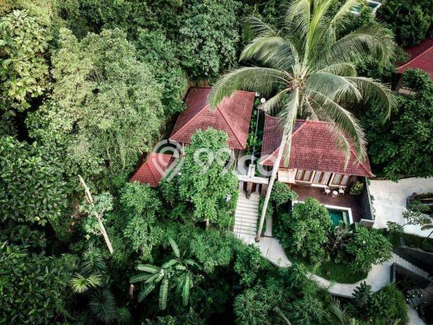 LOKASI TERBAIK! Vila di Ubud, Ukuran 7500m2m², Area Premium dengan jalan mudah LOKASI TERBAIK! Vila di Ubud, Ukuran 7500m2m², Area Premium dengan jalan mudah