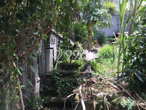 AREA PROSPEKTIF! Tanah Kawasan Canggu, Luas 400m², Akses Fasilitas Umum, Kawasan Potensial AREA PROSPEKTIF! Tanah Kawasan Canggu, Luas 400m², Akses Fasilitas Umum, Kawasan Potensial