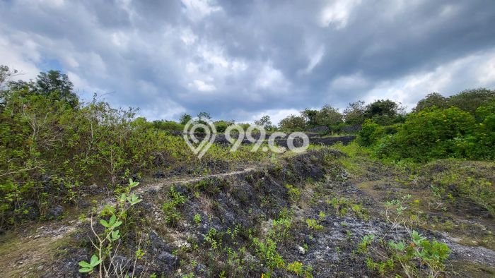 Tanah Dijual di Badung Seluas 20575m2 Strategis Tanah Dijual di Badung Seluas 20575m2 Strategis
