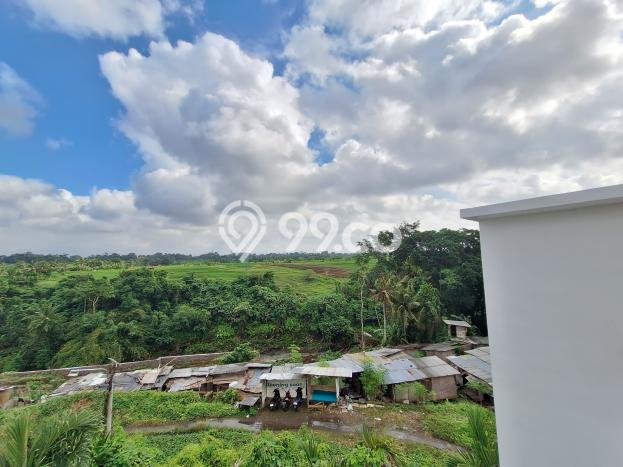 Rumah Mewah LB 300m2 Siap Huni Desain Elegan di canggu, Badung Rumah Mewah LB 300m2 Siap Huni Desain Elegan di canggu, Badung