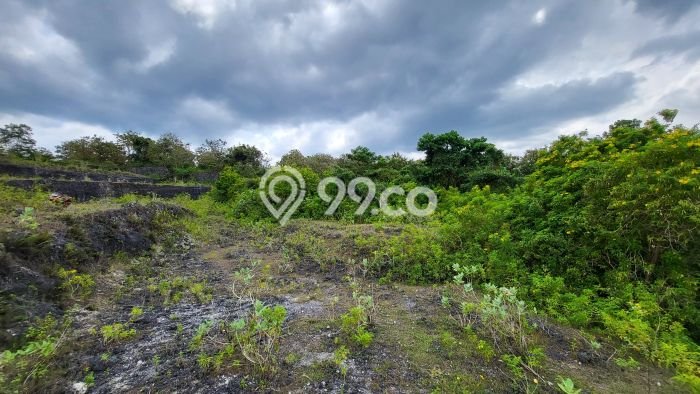 Tanah Dijual di Badung Seluas 20575m2 Strategis Tanah Dijual di Badung Seluas 20575m2 Strategis