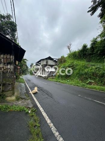 Kavling Tanah di Gianyar Dijual Luas 1000m2 Legalitas SHM Kavling Tanah di Gianyar Dijual Luas 1000m2 Legalitas SHM