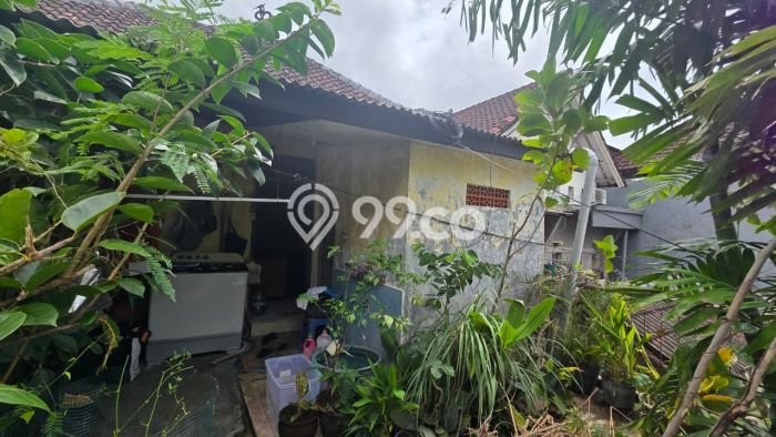 For Sale Hunian Rumah Terawat 4 Kamar di Jimbaran, Badung For Sale Hunian Rumah Terawat 4 Kamar di Jimbaran, Badung