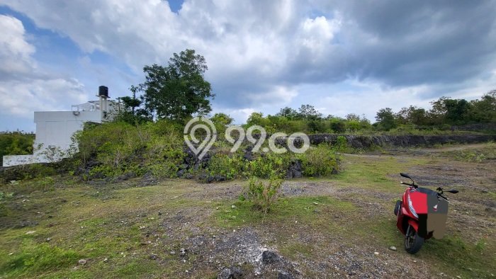 Tanah Dijual di Badung Seluas 20575m2 Strategis Tanah Dijual di Badung Seluas 20575m2 Strategis