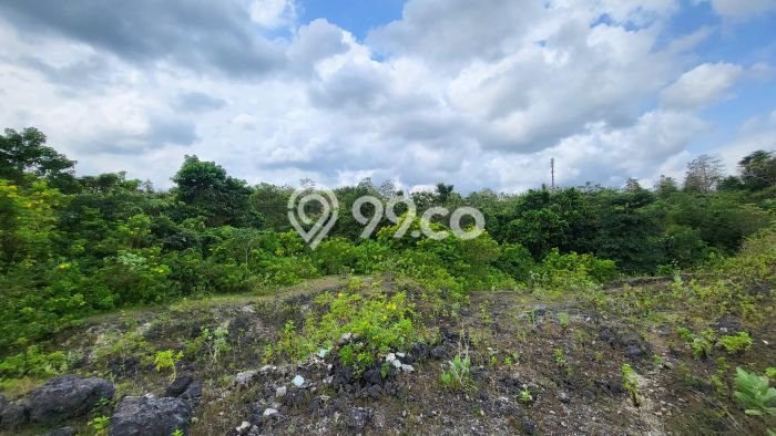 Tanah Dijual di Badung Seluas 20575m2 Strategis Tanah Dijual di Badung Seluas 20575m2 Strategis