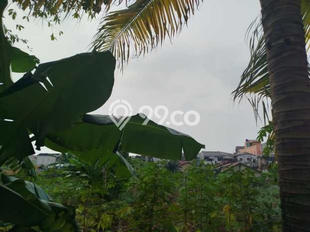 Tanah Dijual Lokasi Jagakarsa Jakarta Selatan SHM Tanah Dijual Lokasi Jagakarsa Jakarta Selatan SHM