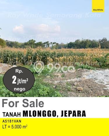 Tanah Komersial Dijual di Mlonggo Jepara 5000m2 Tanah Komersial Dijual di Mlonggo Jepara 5000m2