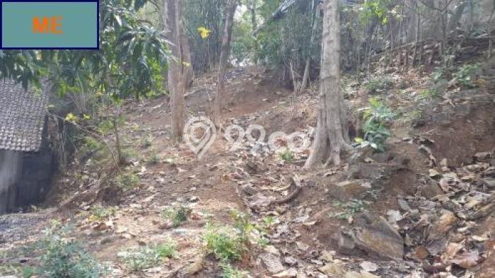Lahan untuk Dijual di Jepara Jepara Luas 262m2 Lahan untuk Dijual di Jepara Jepara Luas 262m2