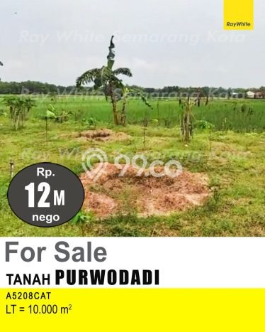 Lahan Kosong Dijual di Purwodadi, Purworejo, Luas 10000m2 Area Strategis Lahan Kosong Dijual di Purwodadi, Purworejo, Luas 10000m2 Area Strategis