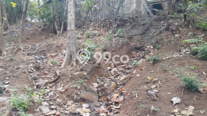 Lahan untuk Dijual di Jepara Jepara Luas 262m2 Lahan untuk Dijual di Jepara Jepara Luas 262m2
