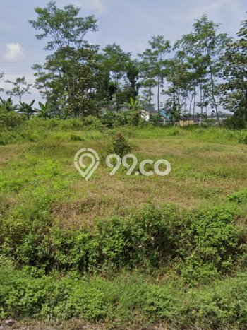 Tanah di Ungaran Timur, Semarang Luas 968m2 Dijual Segera Tanah di Ungaran Timur, Semarang Luas 968m2 Dijual Segera
