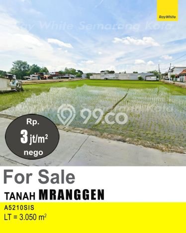 Tanah Kavling untuk Dijual di Mranggen Demak 3050m2 Tanah Kavling untuk Dijual di Mranggen Demak 3050m2