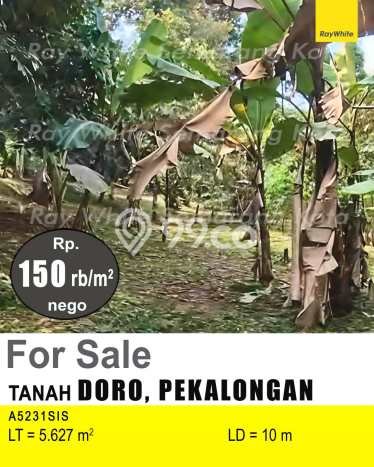 Kavling Tanah Dijual di Doro Pekalongan Spesifikasi 5627m2 Kavling Tanah Dijual di Doro Pekalongan Spesifikasi 5627m2
