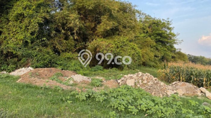 Tanah Komersial Dijual di Mlonggo Jepara 5000m2 Tanah Komersial Dijual di Mlonggo Jepara 5000m2