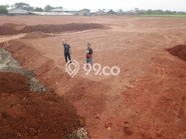 Lahan Dijual Lokasi Pemalang, Pemalang dengan Luas Tanah 49000m2 dan Status SHM Lahan Dijual Lokasi Pemalang, Pemalang dengan Luas Tanah 49000m2 dan Status SHM