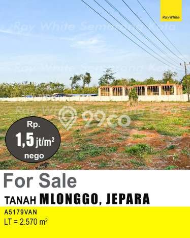 Lahan Kosong Dijual di Jepara dengan Area 2570m2 Lahan Kosong Dijual di Jepara dengan Area 2570m2