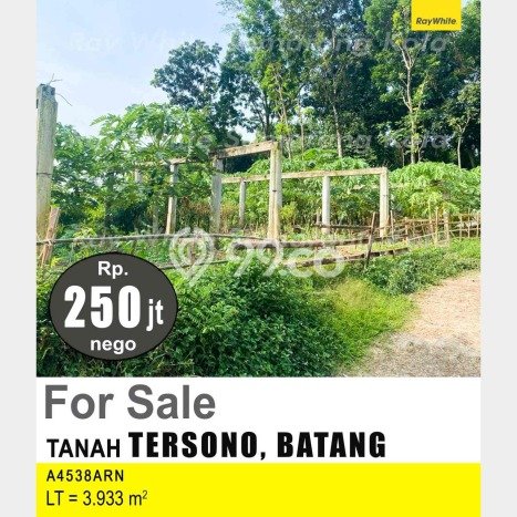 Tanah Dijual Lokasi Tersono, Batang dengan Luas Tanah 3933m2 dan Status SHM Tanah Dijual Lokasi Tersono, Batang dengan Luas Tanah 3933m2 dan Status SHM