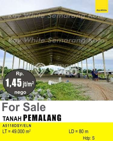 Lahan Dijual Lokasi Pemalang, Pemalang dengan Luas Tanah 49000m2 dan Status SHM Lahan Dijual Lokasi Pemalang, Pemalang dengan Luas Tanah 49000m2 dan Status SHM