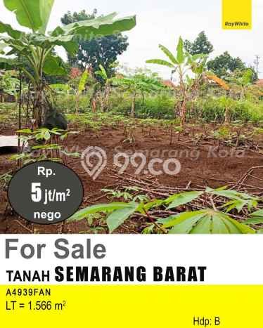 Tanah untuk Dijual di Semarang Barat Semarang Luas 1566m2 Tanah untuk Dijual di Semarang Barat Semarang Luas 1566m2