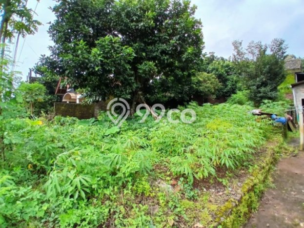 Tanah Kosong Dijual di Semarang dengan Area 300m2 Tanah Kosong Dijual di Semarang dengan Area 300m2