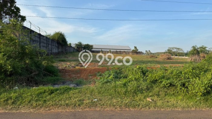 Tanah Kavling di Mlonggo Dijual dengan Luas 5450m2 Tanah Kavling di Mlonggo Dijual dengan Luas 5450m2