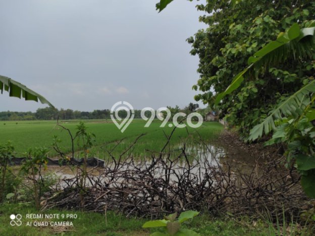 Lahan Kosong Dijual di Purwodadi, Purworejo, Luas 10000m2 Area Strategis Lahan Kosong Dijual di Purwodadi, Purworejo, Luas 10000m2 Area Strategis